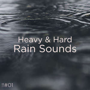 ดาวน์โหลดและฟังเพลง Hard Rain พร้อมเนื้อเพลงจาก Rain Sounds