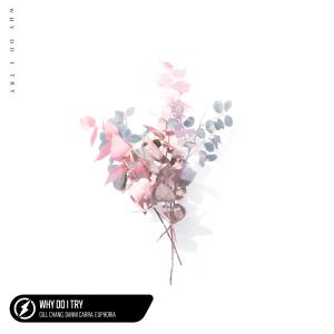 ดาวน์โหลดและฟังเพลง Why Do I Try พร้อมเนื้อเพลงจาก Gill Chang