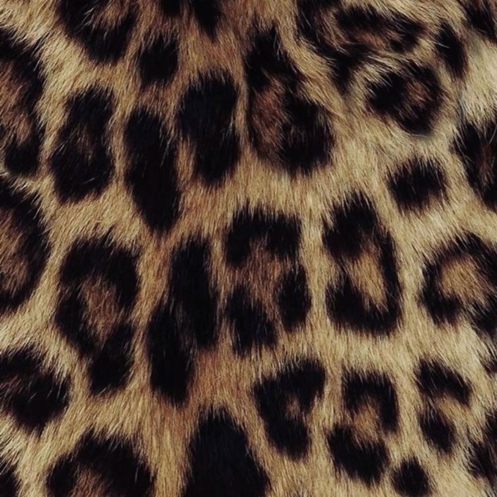 Animal Print. (feat. Dlang, ogluvv, vyii312 & 1Haze) (Explicit)