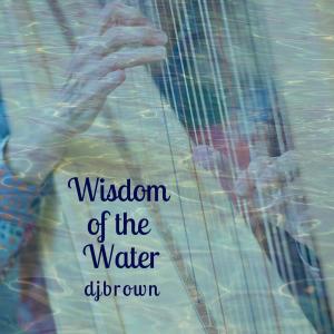 DjBrown的专辑Wisdom Of The Water (2024 Remastered)