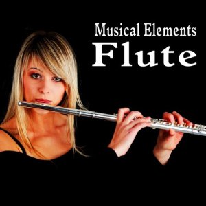 ดาวน์โหลดและฟังเพลง Quick & Silly Flute Accent พร้อมเนื้อเพลงจาก Sound Ideas