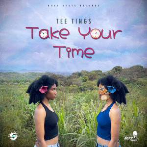 收聽Tee Ting的Take Your Time歌詞歌曲
