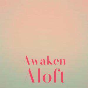 Various Artists的專輯Awaken Aloft