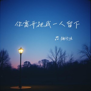 魏传迪的专辑你离开把我一人留下