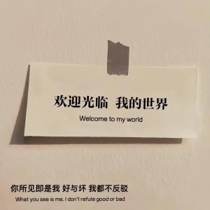 Listen to 我的青春充满伤痕 song with lyrics from Gin
