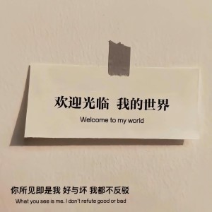 收聽Gin的我的青春充滿傷痕歌詞歌曲