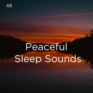 ดาวน์โหลดและฟังเพลง Ocean Music For Yoga พร้อมเนื้อเพลงจาก Deep Sleep