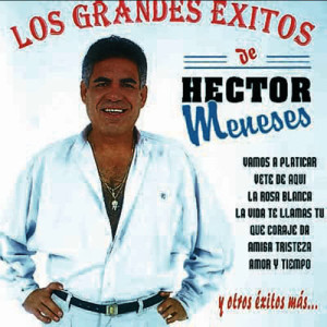 ดาวน์โหลดและฟังเพลง Me da Miedo Tu Amor พร้อมเนื้อเพลงจาก Héctor Menéses