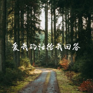 收聽海平的愛我的話給我回答歌詞歌曲