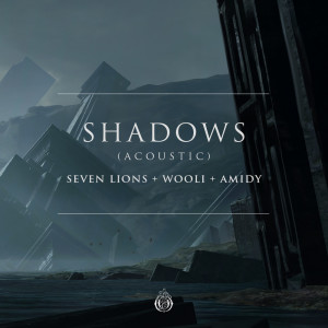 Shadows (Acoustic)