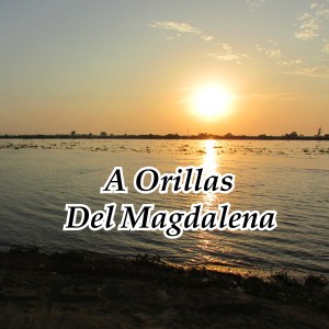 Listen to La Gustadora song with lyrics from Nacho Paredes