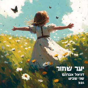 收聽Daniel Abraham的יער שחור歌詞歌曲