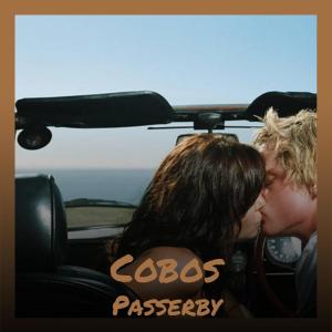 Cobos Passerby dari Various