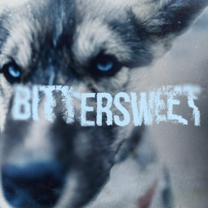 อัลบัม Bittersweet ศิลปิน Gunna