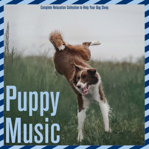 Relaxmydog的专辑Puppy Music - Complete Relaxation Collection to Help Your Dog Sleep