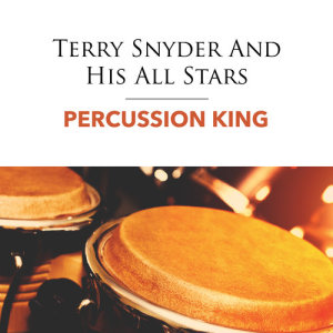 ดาวน์โหลดและฟังเพลง I Don't Know Why พร้อมเนื้อเพลงจาก Terry Snyder & His All Stars