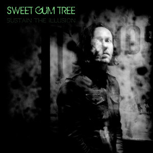 ดาวน์โหลดและฟังเพลง Stars Align พร้อมเนื้อเพลงจาก Sweet Gum Tree