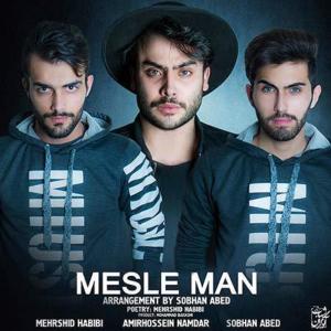 Album Mesle Man (feat. Sobhan Abed & AmirHossein Namdar) from Mehrshid Habibi