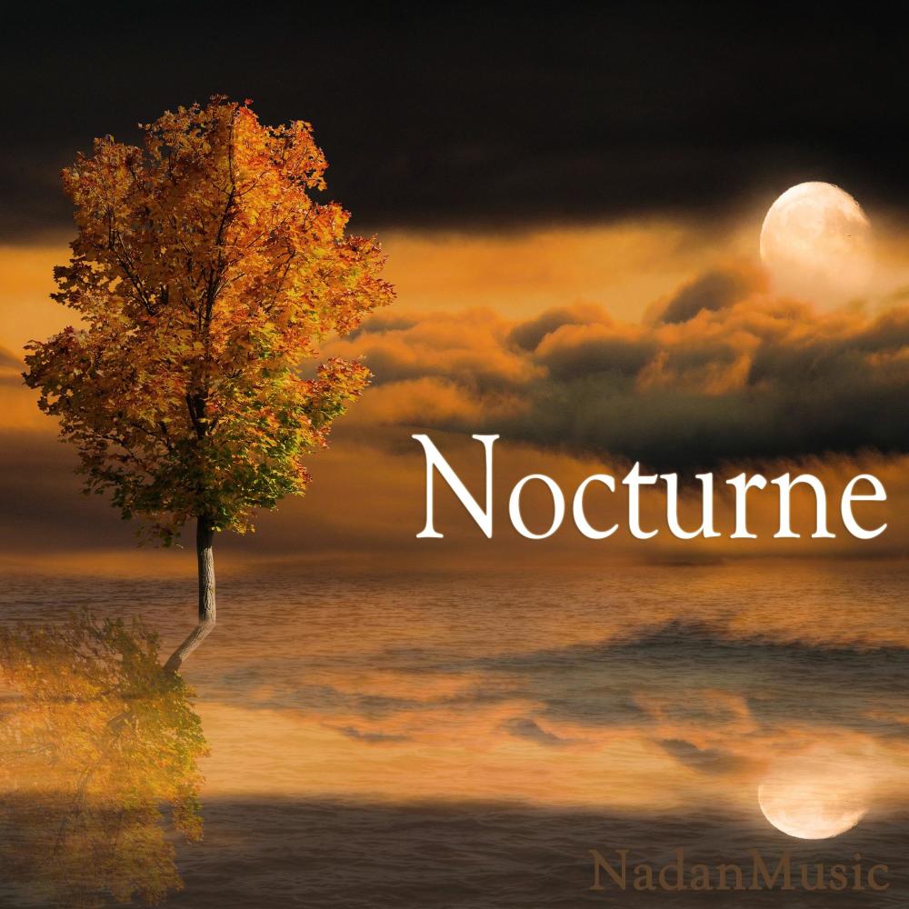 Nocturne (Calm Ocean Waves Sounds at Night ASMR, Natural White Noise)