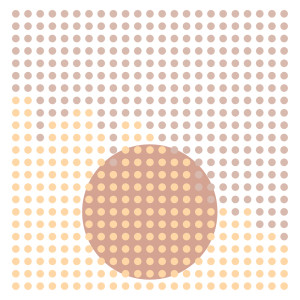 收聽mused的amber canopy iii (nature)歌詞歌曲