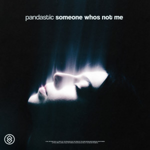 Album Someone Whos Not Me from Pandastic