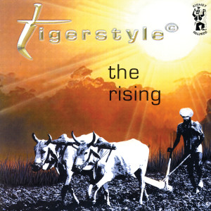 ดาวน์โหลดและฟังเพลง Nagin พร้อมเนื้อเพลงจาก Tigerstyle