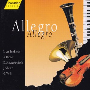 Jugendsinfonieorchester Kaltenstein的專輯Allegro: Classical Highlights