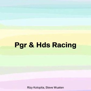 Listen to Pgr & Hds Racing (Distan) song with lyrics from Rizy Kolopita