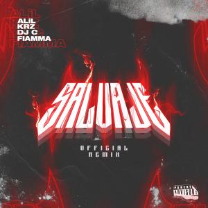 ดาวน์โหลดและฟังเพลง Salvaje (Remix) (Explicit) (Remix|Explicit) พร้อมเนื้อเพลงจาก Alil