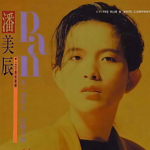 收聽潘美辰的找一個雨天歌詞歌曲