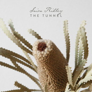 ดาวน์โหลดและฟังเพลง Hokkaido พร้อมเนื้อเพลงจาก Saira Ridley