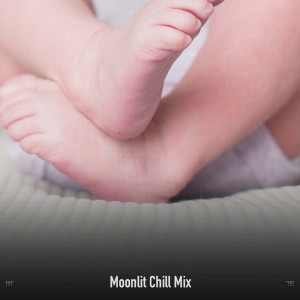 !!!!" Moonlit Chill Mix "!!!!