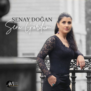 Listen to Seni Gördüm song with lyrics from Şenay Doğan