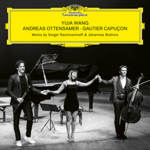 Andreas Ottensamer的專輯Brahms: Clarinet Trio in A Minor, Op. 114: I. Allegro