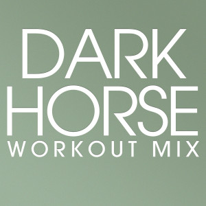 ดาวน์โหลดและฟังเพลง Dark Horse (Radio Edit) พร้อมเนื้อเพลงจาก Power Music Workout