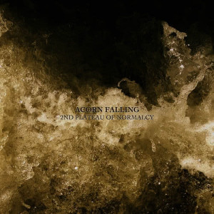 ดาวน์โหลดและฟังเพลง M/S Humanity พร้อมเนื้อเพลงจาก Acorn Falling