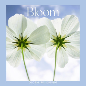 SOLHA的專輯Bloom