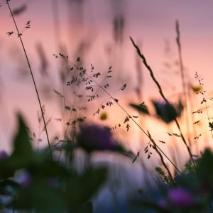 Listen to Sleep Music song with lyrics from Deep Sleep