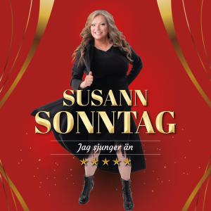 收聽Susann Sonntag的Rearview Mirror歌詞歌曲