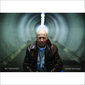 Dengarkan Bittersweet lagu dari David Rhodes dengan lirik