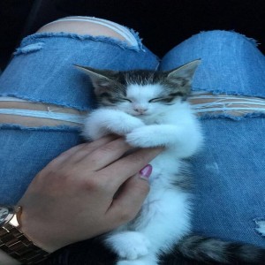 Dengarkan 一分钟恋人 lagu dari 邹俊健 dengan lirik