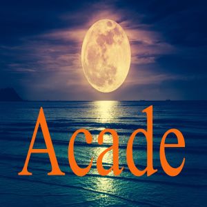 Listen to Arcade song with lyrics from Tendencia