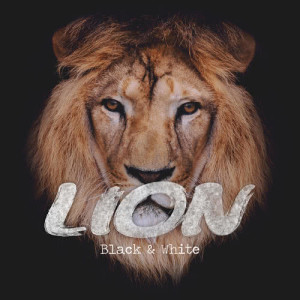 收聽Lion的Undressed歌詞歌曲