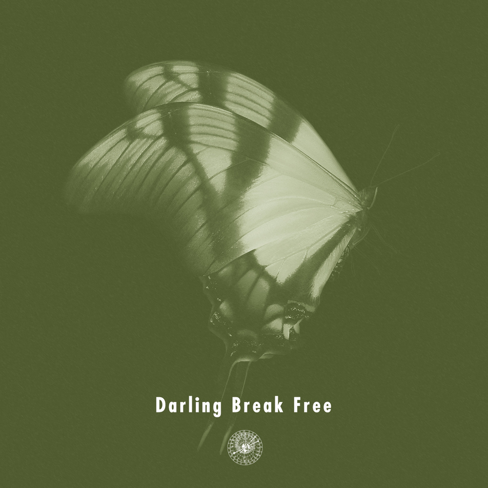 Darling Break Free (Instrumental)