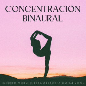 Ondas cerebrales de latidos binaurales的專輯Concentración Binaural: Canciones Tranquilas De Pájaros Para La Claridad Mental