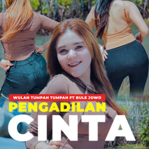 Album Pengadilan Cinta from Wulan Tumpah Tumpah