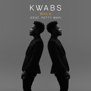 ดาวน์โหลดและฟังเพลง Walk (Todd Edwards Remix) พร้อมเนื้อเพลงจาก Kwabs