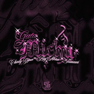 Album Gata Michu (Explicit) from Charly Gynn