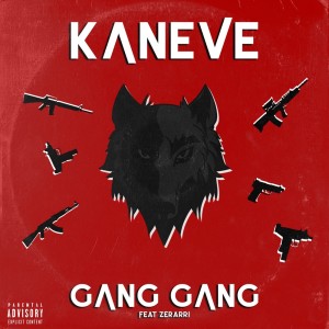 ดาวน์โหลดและฟังเพลง Gang Gang (Explicit) พร้อมเนื้อเพลงจาก KANEVE