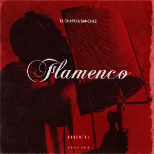 Flamenco (feat. Sanchez)